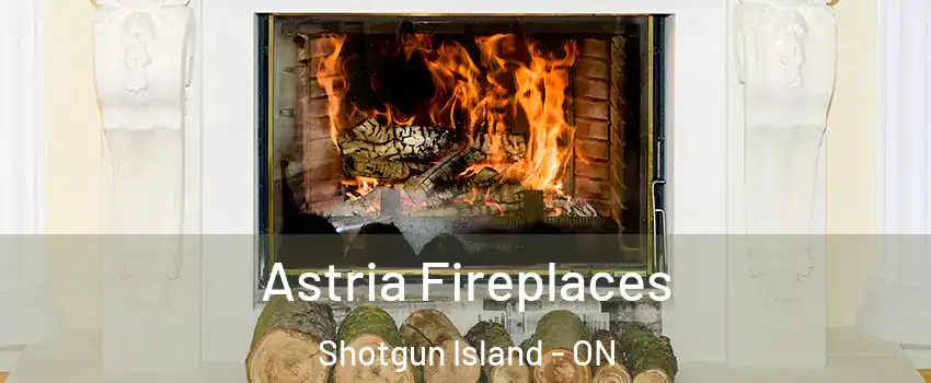  Astria Fireplaces Shotgun Island - ON