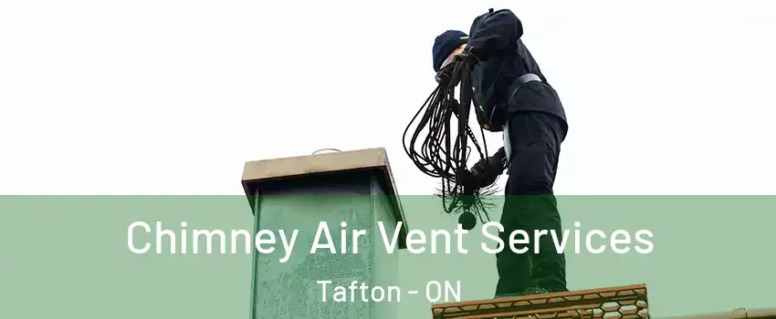  Chimney Air Vent Services Tafton - ON