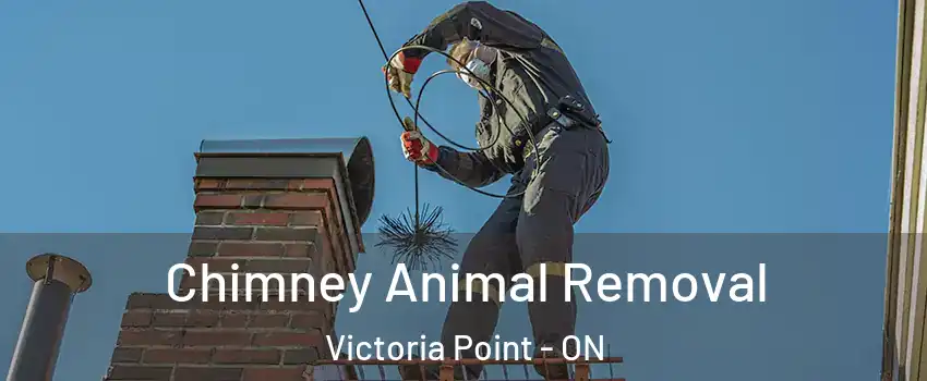 Chimney Animal Removal Victoria Point - ON