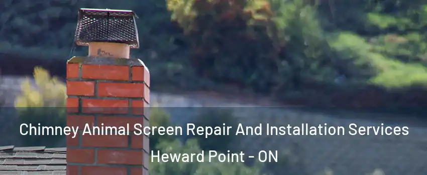  Chimney Animal Screen Repair And Installation Services Heward Point - ON