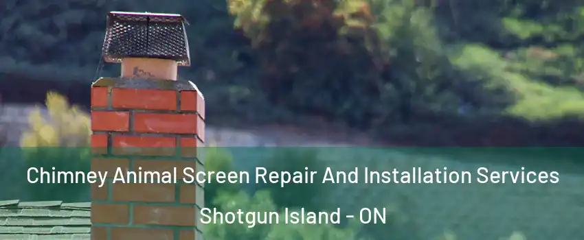  Chimney Animal Screen Repair And Installation Services Shotgun Island - ON