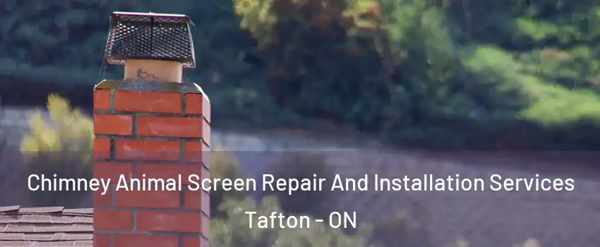  Chimney Animal Screen Repair And Installation Services Tafton - ON