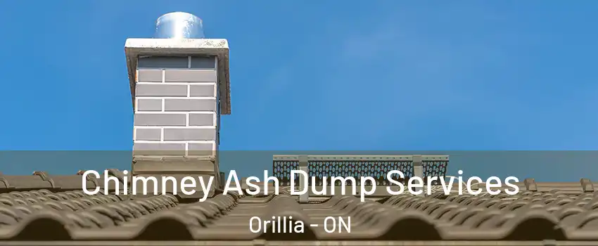  Chimney Ash Dump Services Orillia - ON