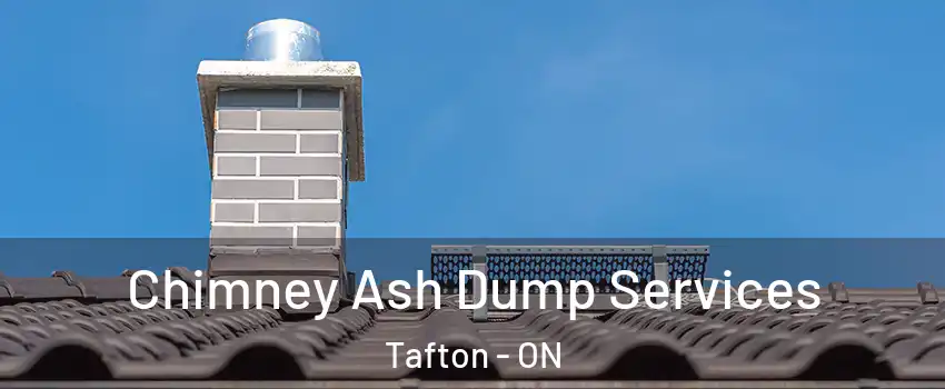  Chimney Ash Dump Services Tafton - ON