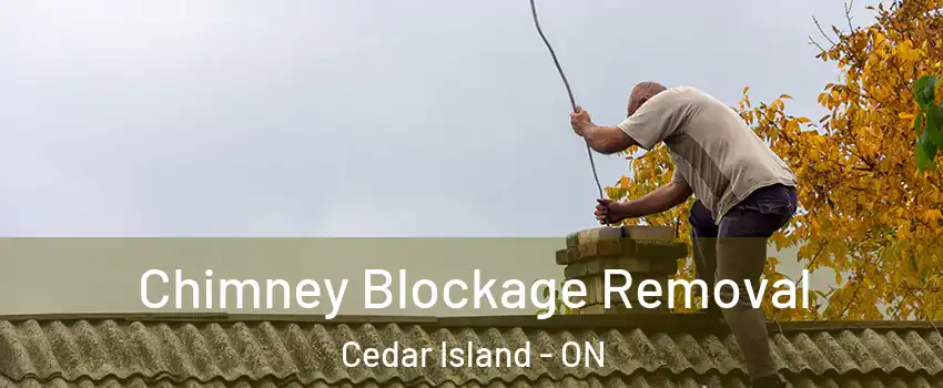  Chimney Blockage Removal Cedar Island - ON