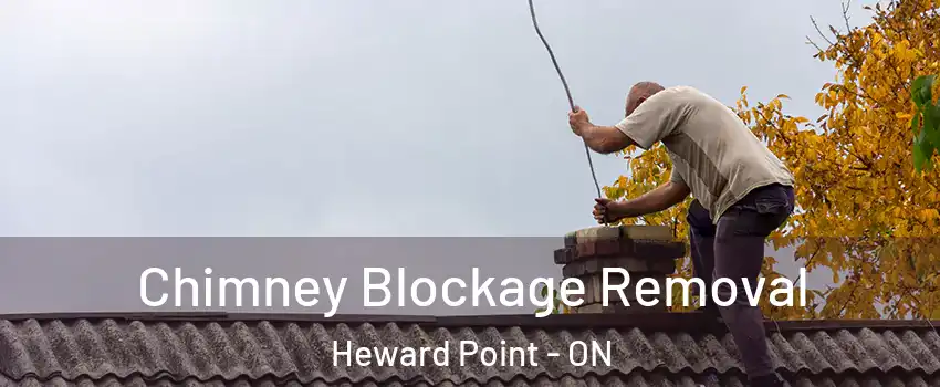  Chimney Blockage Removal Heward Point - ON