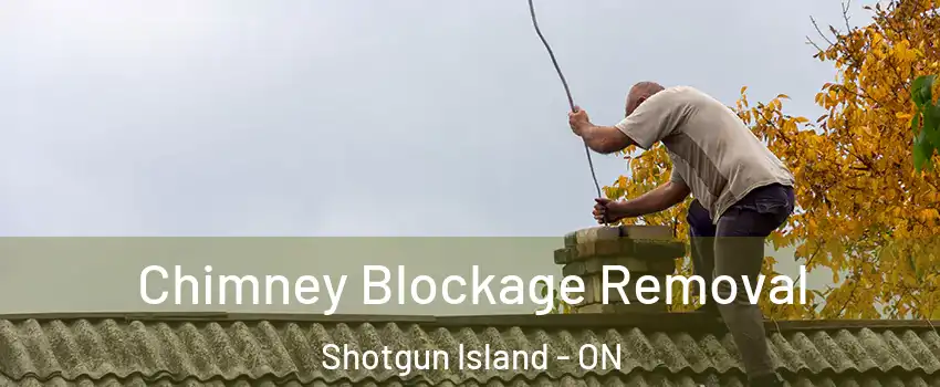  Chimney Blockage Removal Shotgun Island - ON