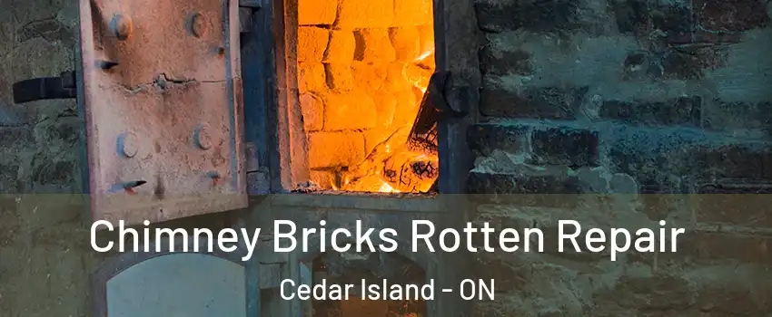  Chimney Bricks Rotten Repair Cedar Island - ON