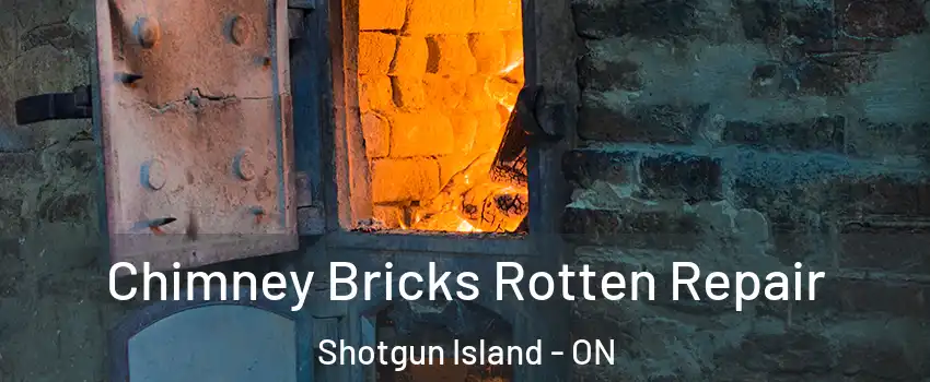 Chimney Bricks Rotten Repair Shotgun Island - ON