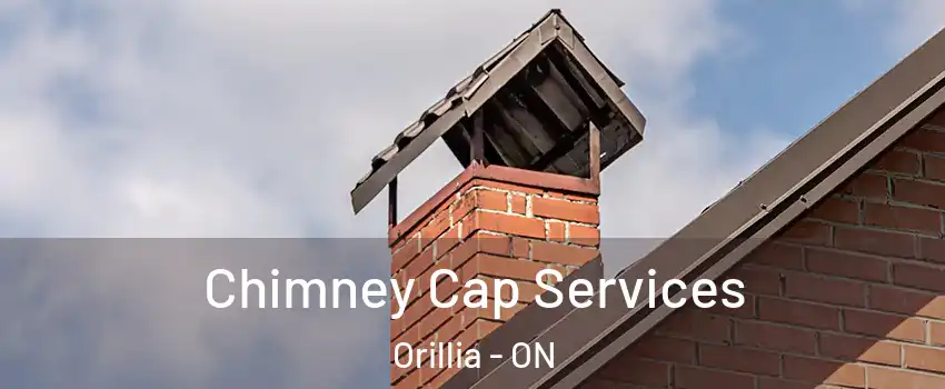  Chimney Cap Services Orillia - ON