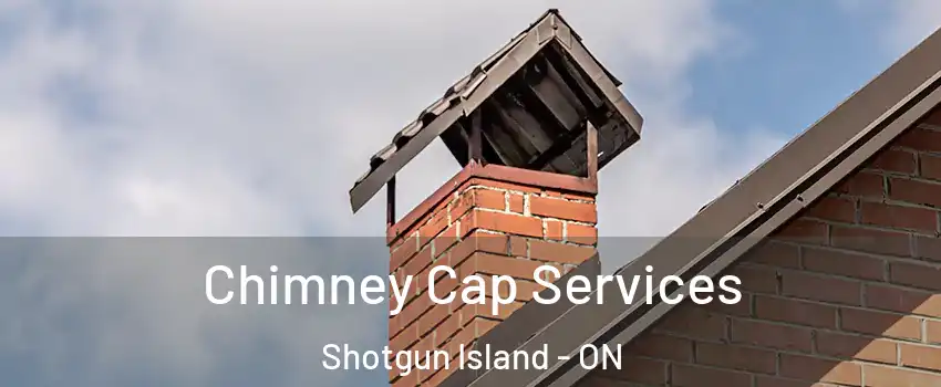  Chimney Cap Services Shotgun Island - ON