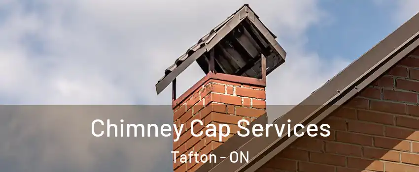  Chimney Cap Services Tafton - ON