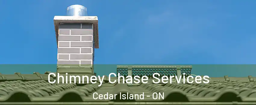 Chimney Chase Services Cedar Island - ON