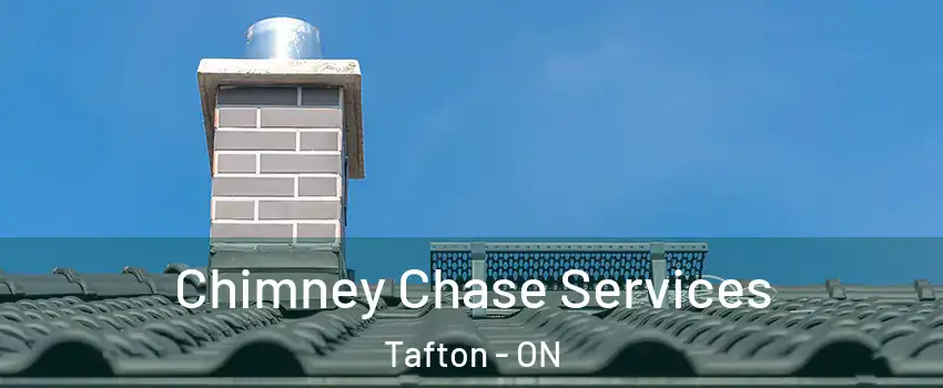  Chimney Chase Services Tafton - ON
