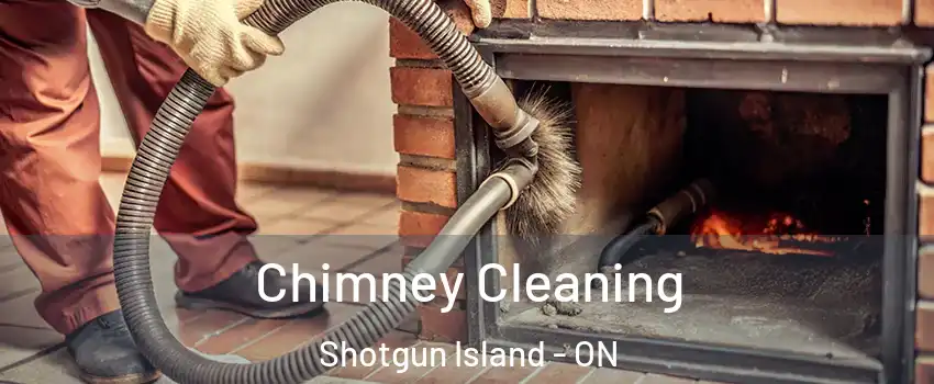  Chimney Cleaning Shotgun Island - ON