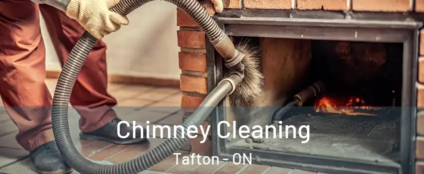 Chimney Cleaning Tafton - ON