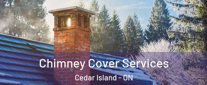  Chimney Cover Services Cedar Island - ON