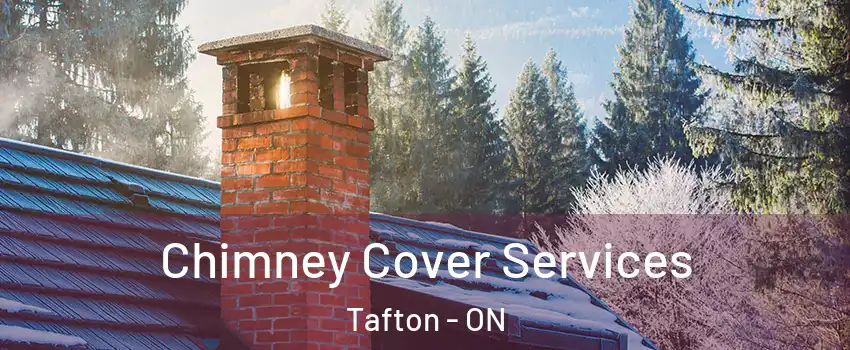  Chimney Cover Services Tafton - ON