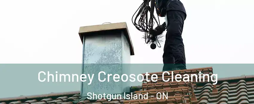 Chimney Creosote Cleaning Shotgun Island - ON