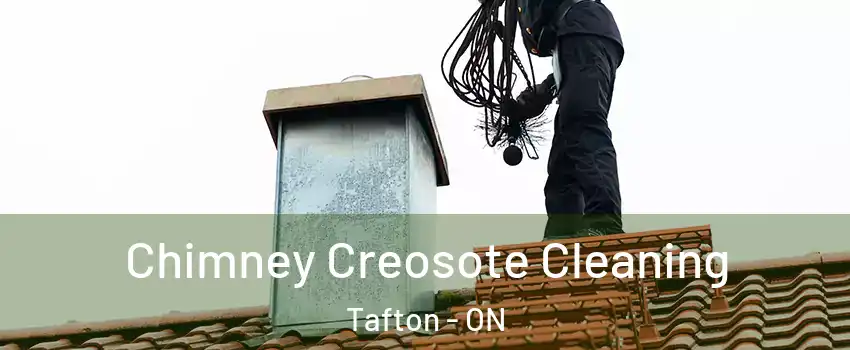  Chimney Creosote Cleaning Tafton - ON