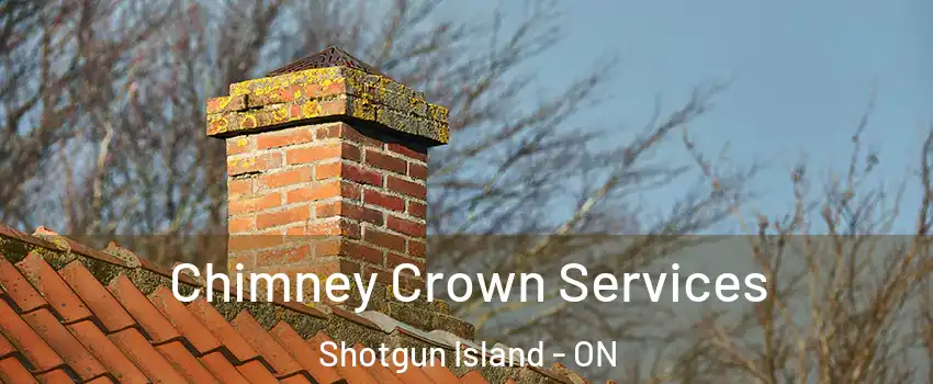  Chimney Crown Services Shotgun Island - ON