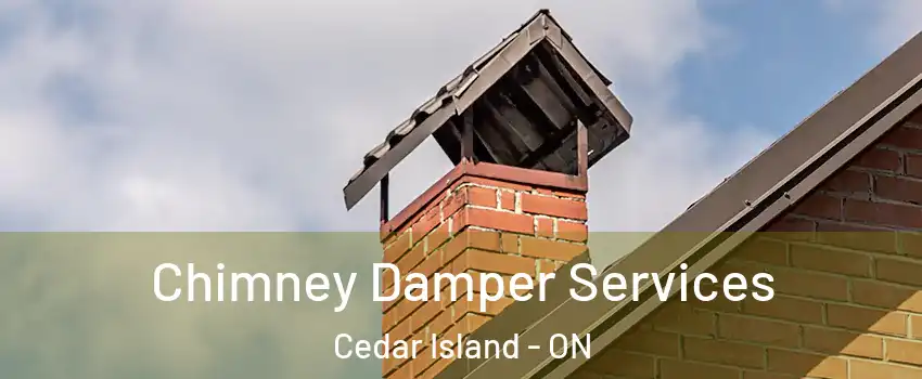 Chimney Damper Services Cedar Island - ON