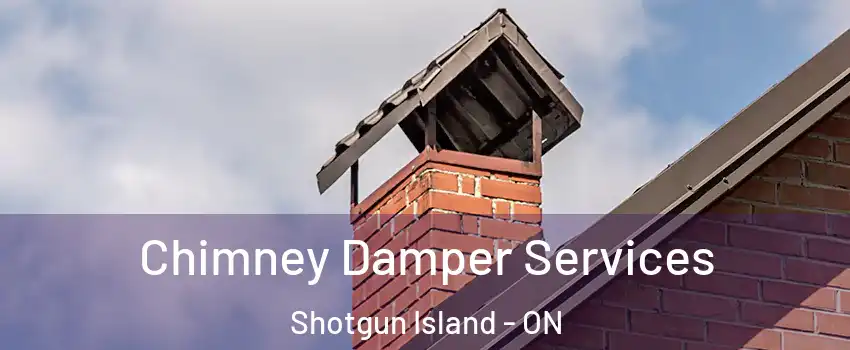  Chimney Damper Services Shotgun Island - ON
