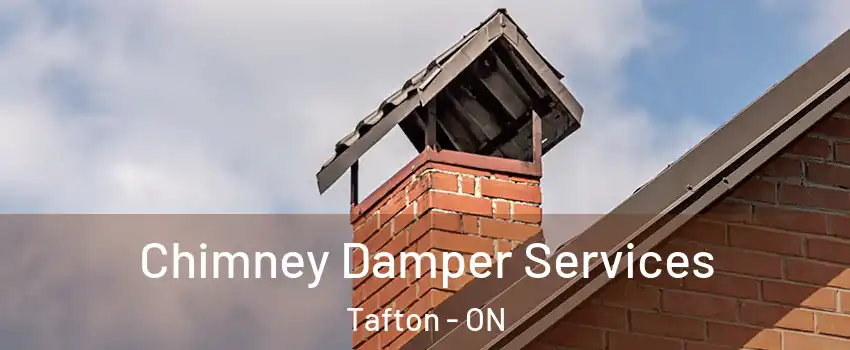  Chimney Damper Services Tafton - ON