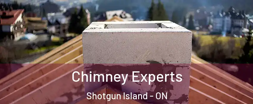  Chimney Experts Shotgun Island - ON