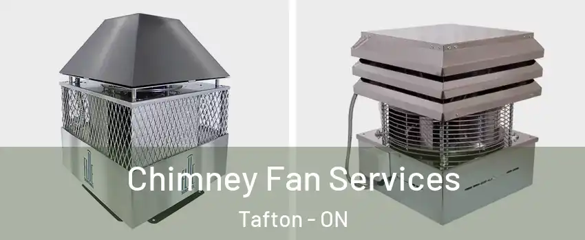  Chimney Fan Services Tafton - ON