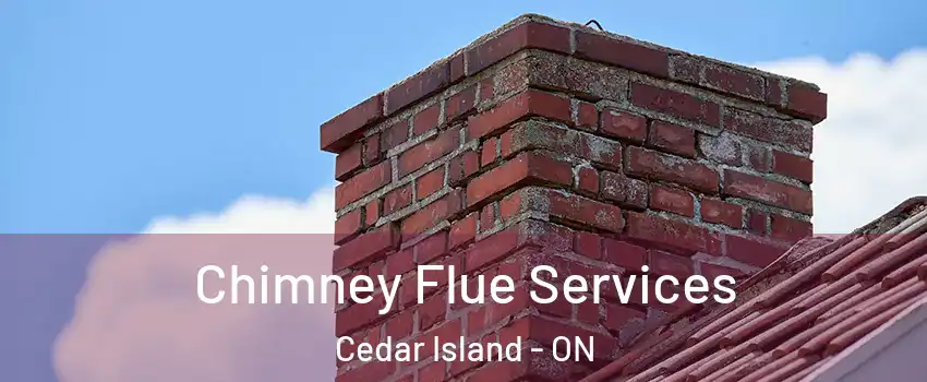 Chimney Flue Services Cedar Island - ON