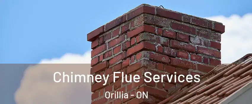  Chimney Flue Services Orillia - ON