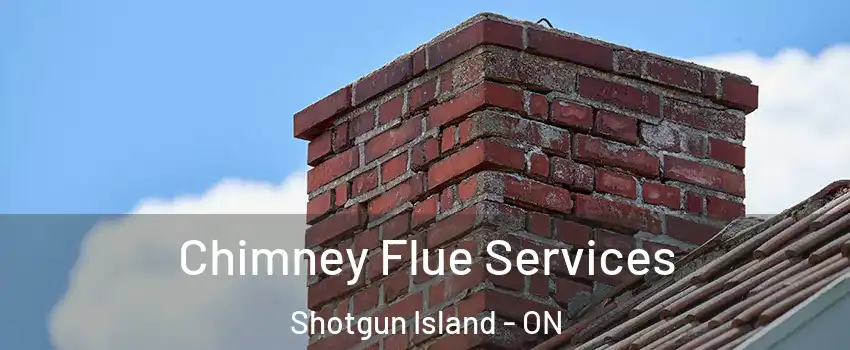  Chimney Flue Services Shotgun Island - ON