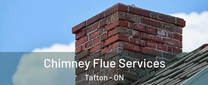  Chimney Flue Services Tafton - ON