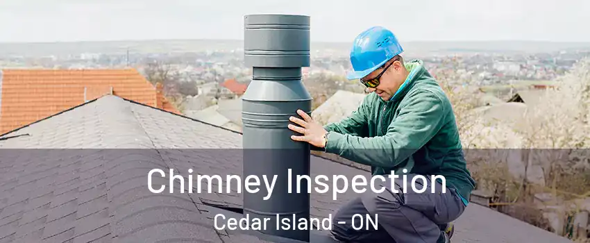  Chimney Inspection Cedar Island - ON