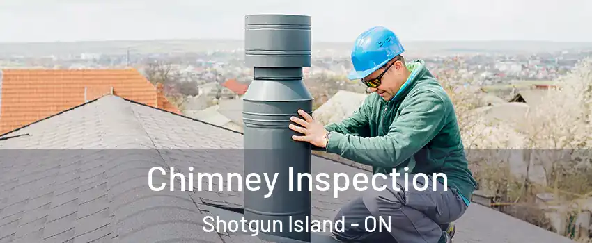  Chimney Inspection Shotgun Island - ON