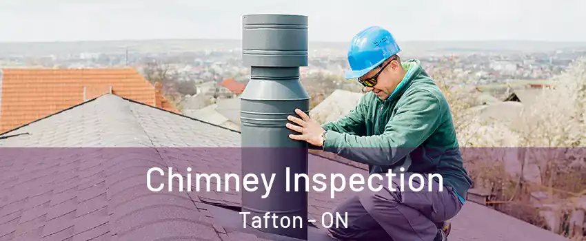  Chimney Inspection Tafton - ON