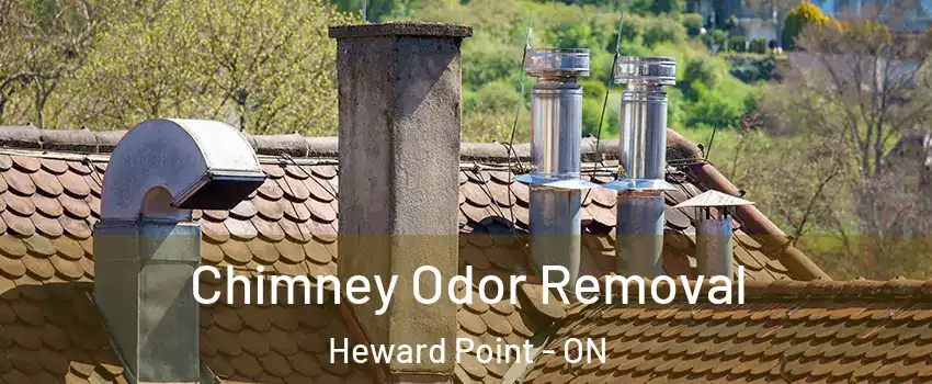  Chimney Odor Removal Heward Point - ON