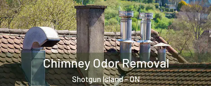  Chimney Odor Removal Shotgun Island - ON