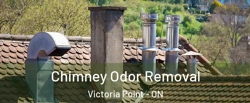  Chimney Odor Removal Victoria Point - ON