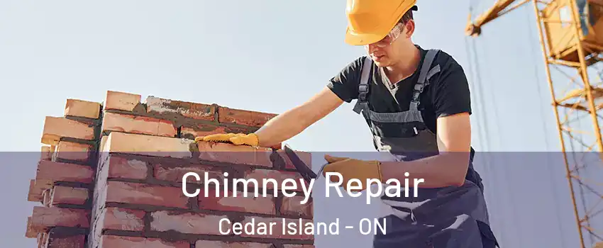  Chimney Repair Cedar Island - ON