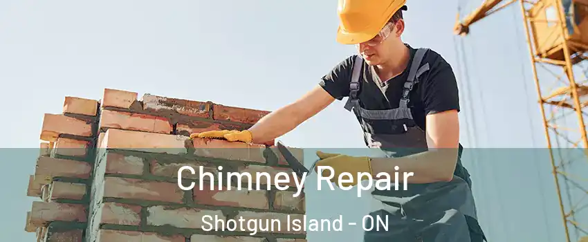  Chimney Repair Shotgun Island - ON