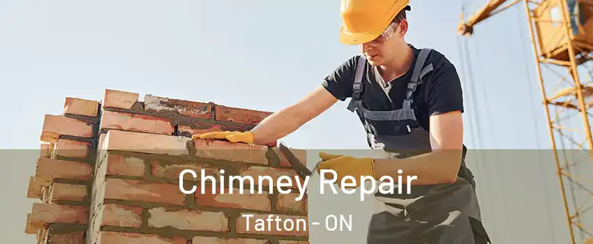  Chimney Repair Tafton - ON