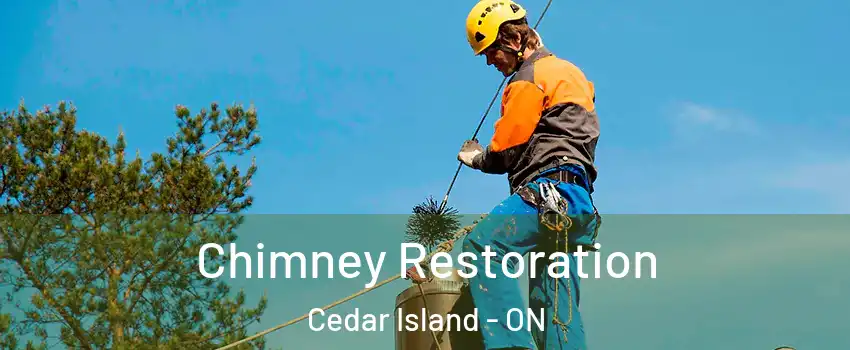  Chimney Restoration Cedar Island - ON