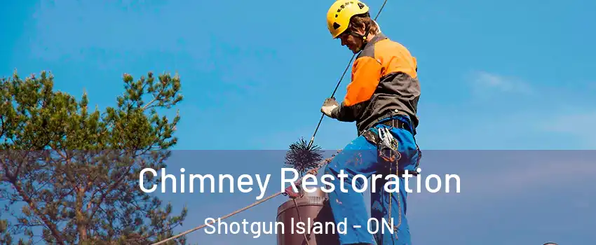  Chimney Restoration Shotgun Island - ON