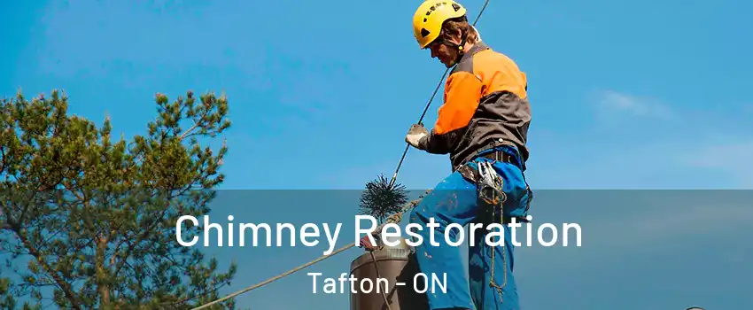  Chimney Restoration Tafton - ON