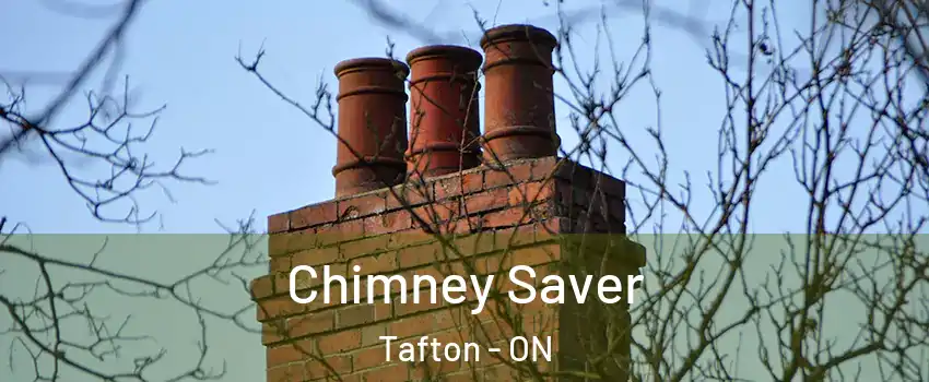 Chimney Saver Tafton - ON