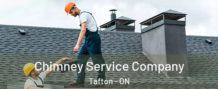  Chimney Service Company Tafton - ON