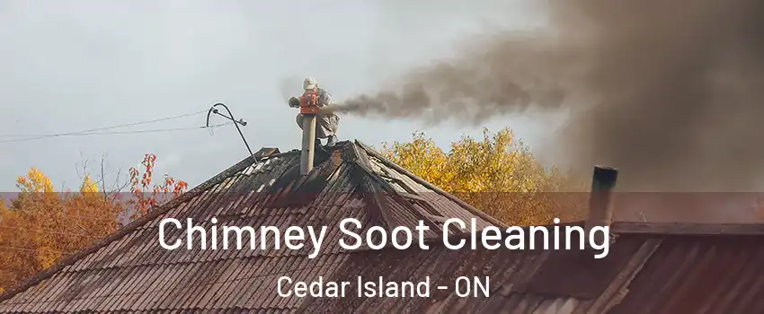  Chimney Soot Cleaning Cedar Island - ON