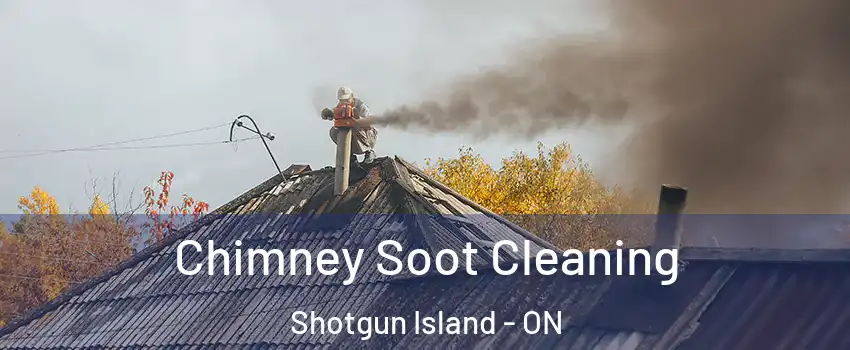  Chimney Soot Cleaning Shotgun Island - ON